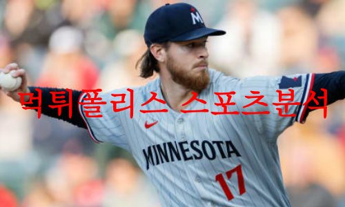미네소타