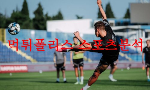 체코