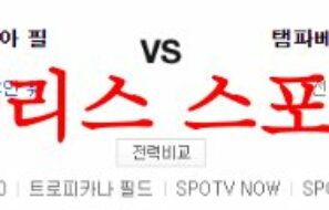 7월6일 MLB 탬파베이 레이스 필라델피아 필리스 미국야구 정보 분석 먹튀폴리스