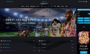 CONCERT 신규사이트 공연장에서 민폐를 저지르는 업체인지 궁금해하는 중