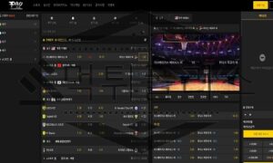 PRO 신규사이트 전혀 프로답지 못하게 행동하는 운영진인지 실시간 체크 중