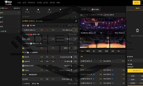 PRO 신규사이트
