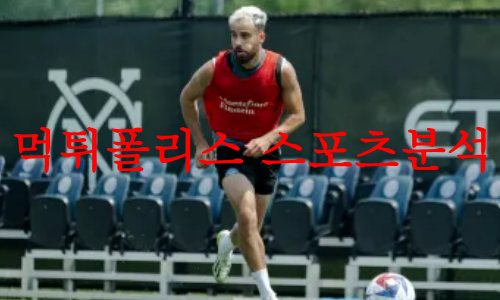 뉴욕시티