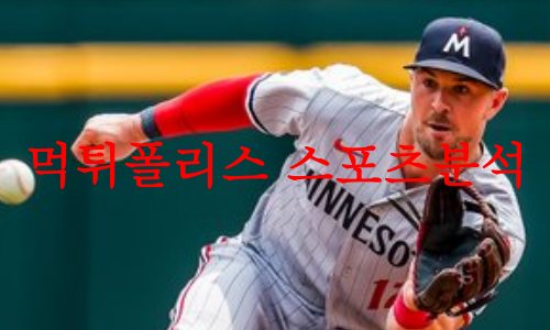 미네소타