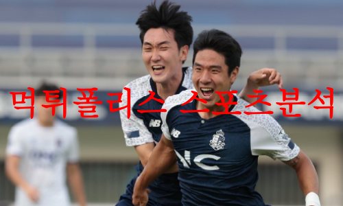 서울이랜드
