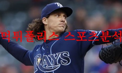 탬파베이