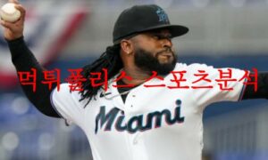 8월16일 MLB 마이애미 말린스 휴스턴 애스트로스 미국프로야구 분석 먹튀폴리스