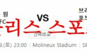 8월19일 프리미어리그 울버햄튼 원더러스 브라이튼 앤 호브알비온 분석 먹튀폴리스
