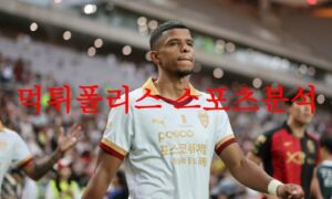 8월13일 K리그 포항 스틸러스 광주FC 국내축구 프리뷰 예상분석 먹튀폴리스