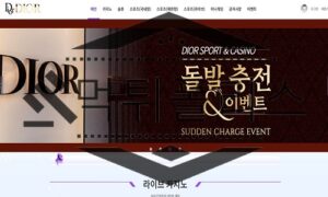 DIOR 신규사이트 명품 브랜드의 힘을 도둑질해서 이용하다 결국 도망가는 중