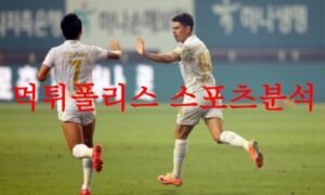 8월19일 K리그 FC서울 대구FC 국내축구 경기일정 및 예상 시나리오 분석 먹튀폴리스
