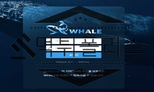 WHALE 신규사이트