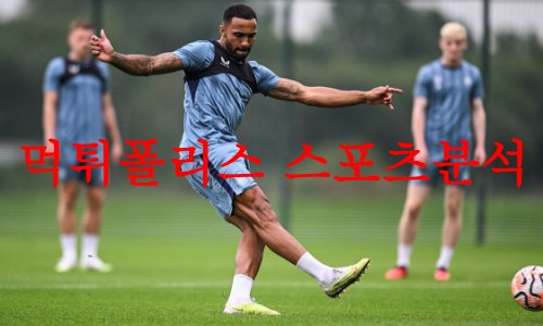 뉴캐슬