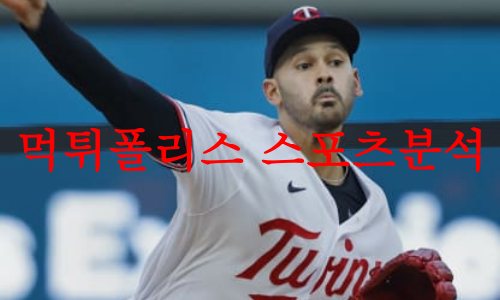 미네소타