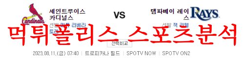 8월11일 MLB 탬파베이 레이스 세인트루이스 카디널스 메이저리그 분석 먹튀폴리스