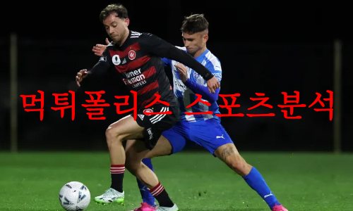 웨스턴시드니원더러스