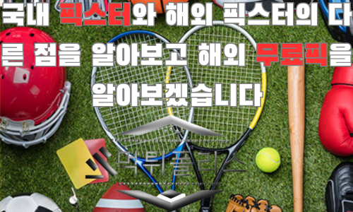 국내 픽스터 해외 픽스터의 특징 다른 점은 어떤것일까?
