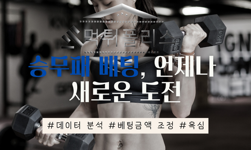 토토분석방법