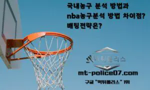 국내농구 분석 방법과 nba농구분석 방법 차이점? 배팅전략은? 국내농구 분석 방법과 nba농구분석 방법 차이점? 배팅전략은?