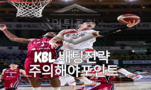 국내농구 분석