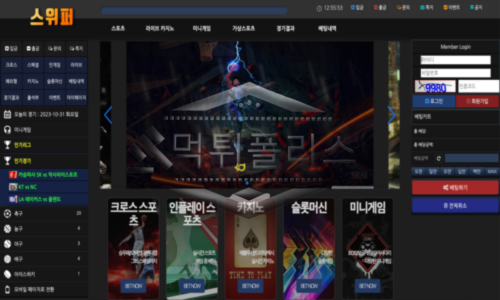 신규사이트
