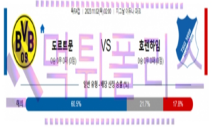 11월02일 보루시아 도르트문트 vs TSG 1899 호펜하임 축구 분석