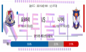 11월24일 요코하마 vs 니가타 축구 분석