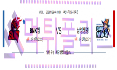 11월29일 BNK썸 vs 삼성생명 국내농구분석