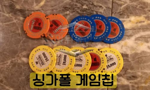 카지노 칩