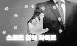 해외 축구 분석 및 통계 사이트 추천
