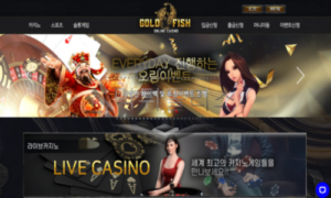 골드피쉬 카지노 신규사이트 골드인지 브론즈인지 확인 검토 중!