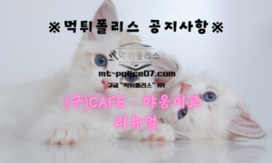 먹튀폴리스 안전놀이터 [(구)Cafe– 야옹이]로 리뉴얼 안내