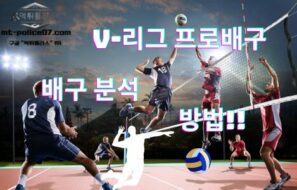 배구 분석 – V-리그 프로배구 편!