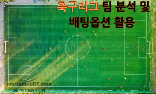 축구리그 팀 분석 및 배팅옵션 활용