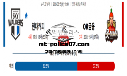 스포츠 분석