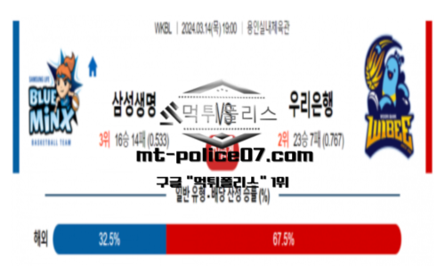 스포츠 분석