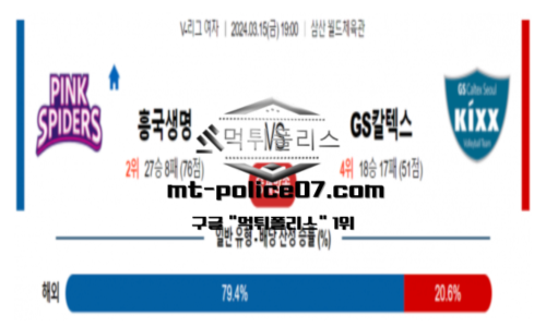 스포츠 분석
