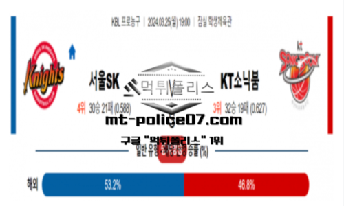 스포츠 분석