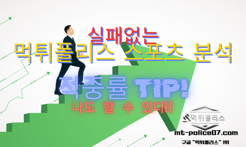 스포츠 픽