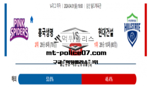 배구분석