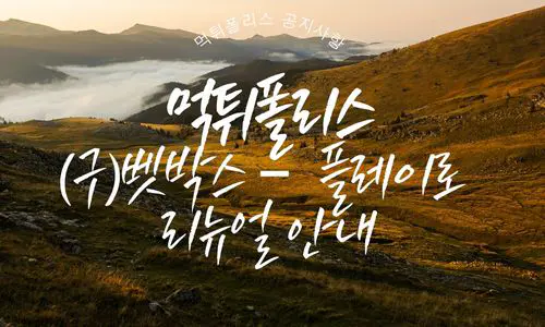 벳박스 플레이