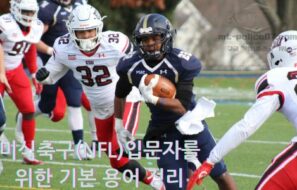 미식축구(NFL) 입문자를 위한 기본 용어 정리