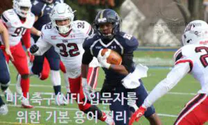 미식축구(NFL) 입문자를 위한 기본 용어 정리
