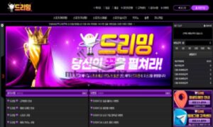 드리밍 토토 신규사이트 꿈같은 조작을 하고 있는지 확인 중