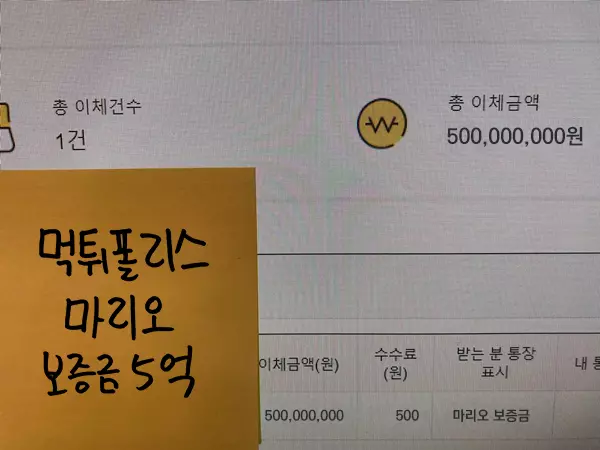 마리오 카지노