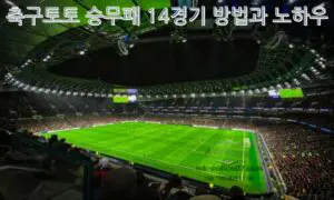 축구토토 승무패 14경기 방법과 노하우