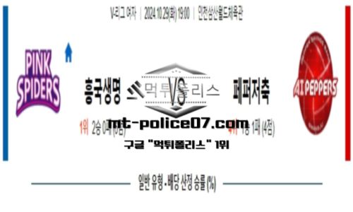 스포츠 픽