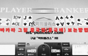 바카라 중국점(중국매) 보는방법
