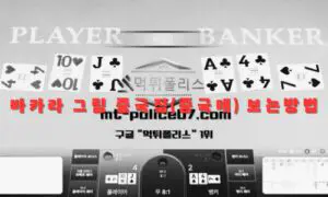 바카라 중국점(중국매) 보는방법