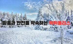 믿음과 안전을 약속하는 먹튀폴리스